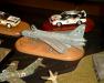 Telford_2005_SA_066