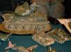 Telford_2005_SA_081