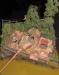 Telford_2005_SF_021
