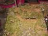 Telford_2005_SF_057