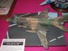 Telford_2005_SF_077