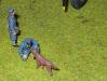 Telford_2005_SF_142