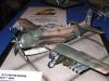 Telford_2005_SF_165
