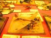 Telford_2005_VH_096