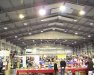 Telford2006_SA_20