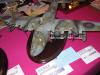 Telford2006_050