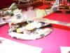 Telford2006_130