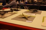Sebastians Bilder: Staende 12