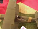 Volkers Bilder: Wettbewerb 29