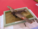 Volkers Bilder: Wettbewerb 35