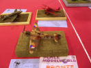 Volkers Bilder: Wettbewerb 41