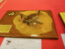 Volkers Bilder: Wettbewerb 42