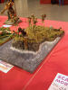 Volkers Bilder: Wettbewerb 46