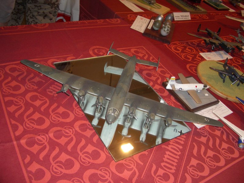 Zdice_Wettbewerb_Ju390_72