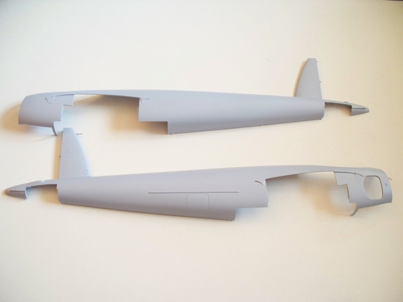 Afx_Mosquito_23
