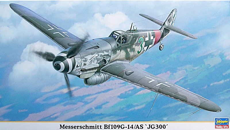 Has_Bf109G-14AS_cover.jpg