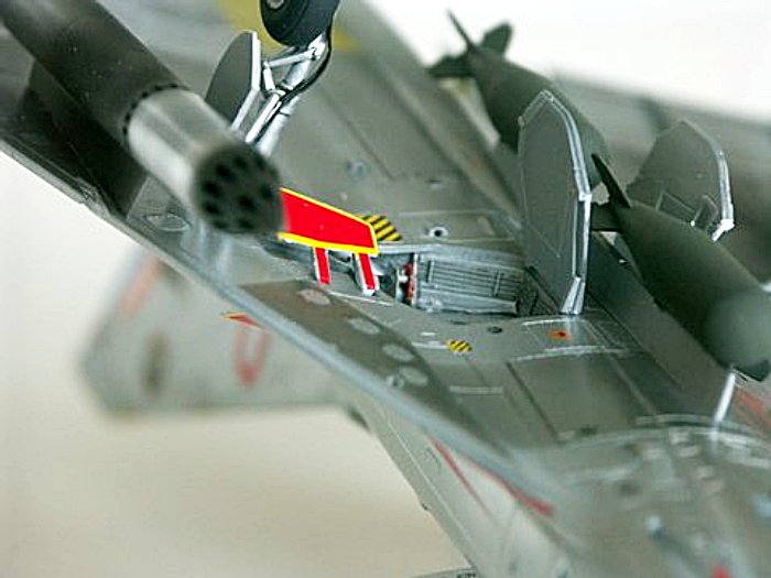 Ed_Mirage_III_SAAF_50