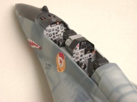 Revell_MiG-29UB_17